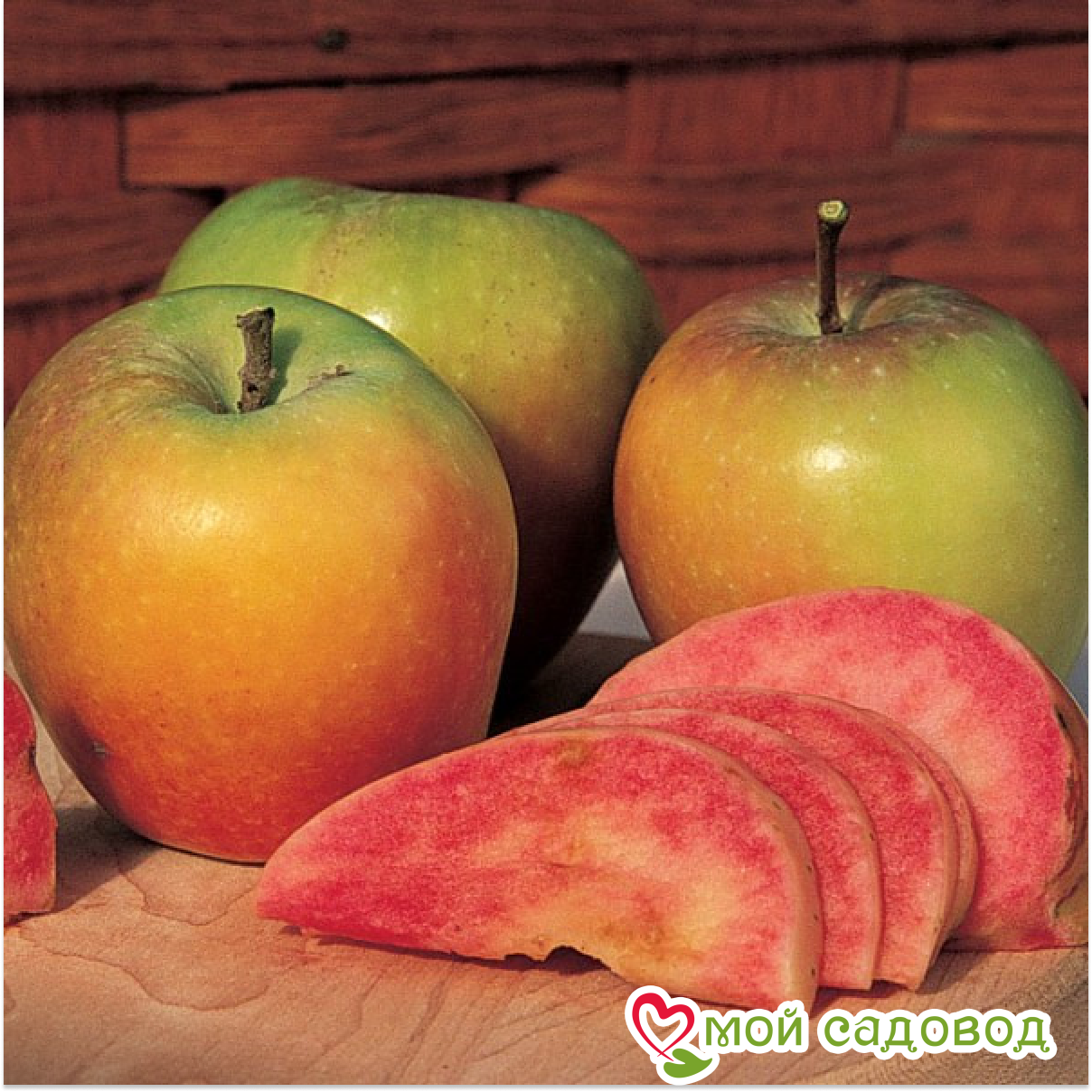 Яблоня Хидден Роуз